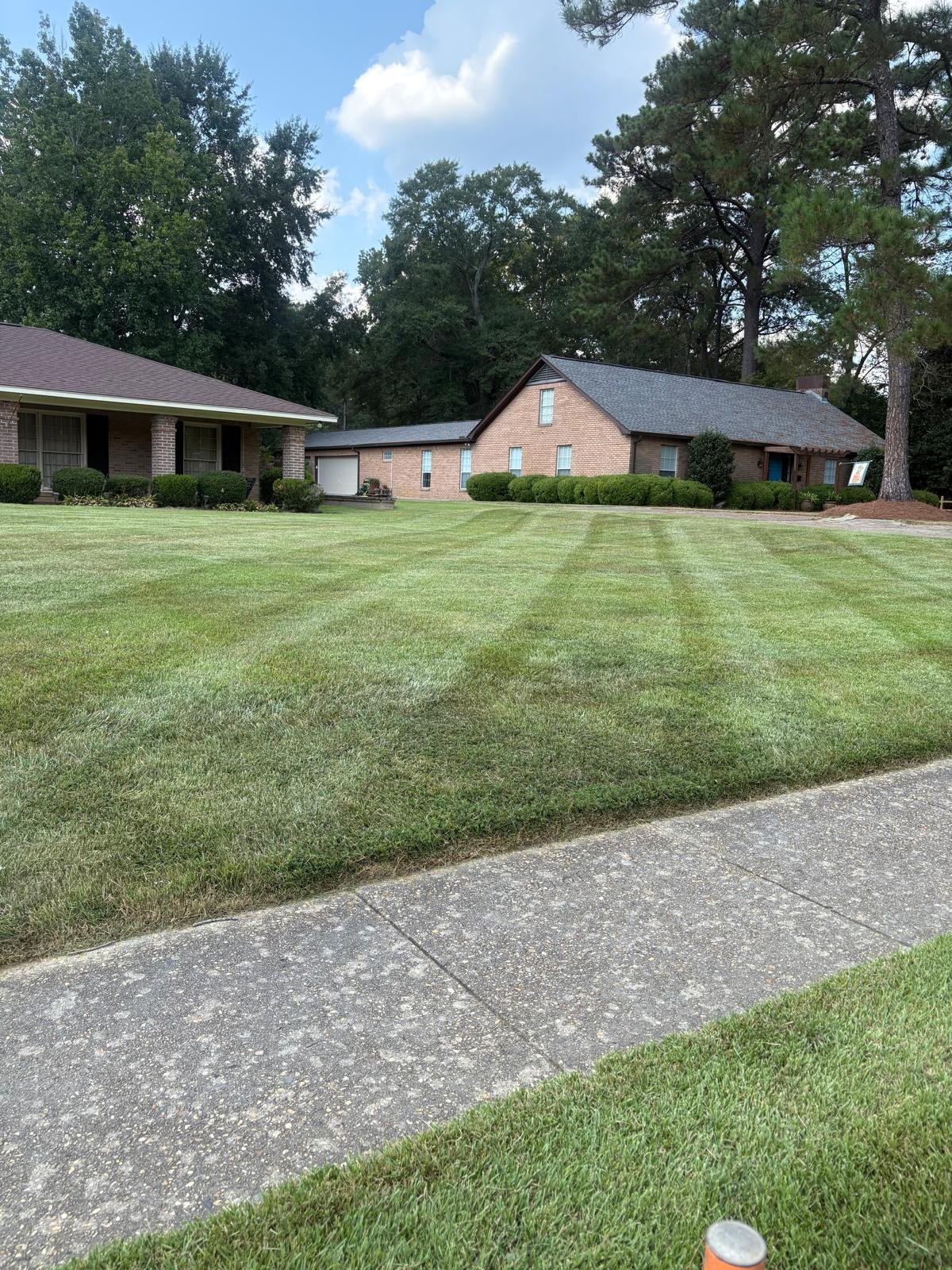 Professionally maintained lawn after mowing